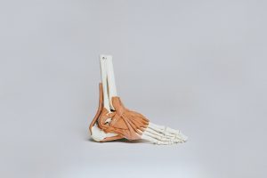 Foot and Ankle Sprains